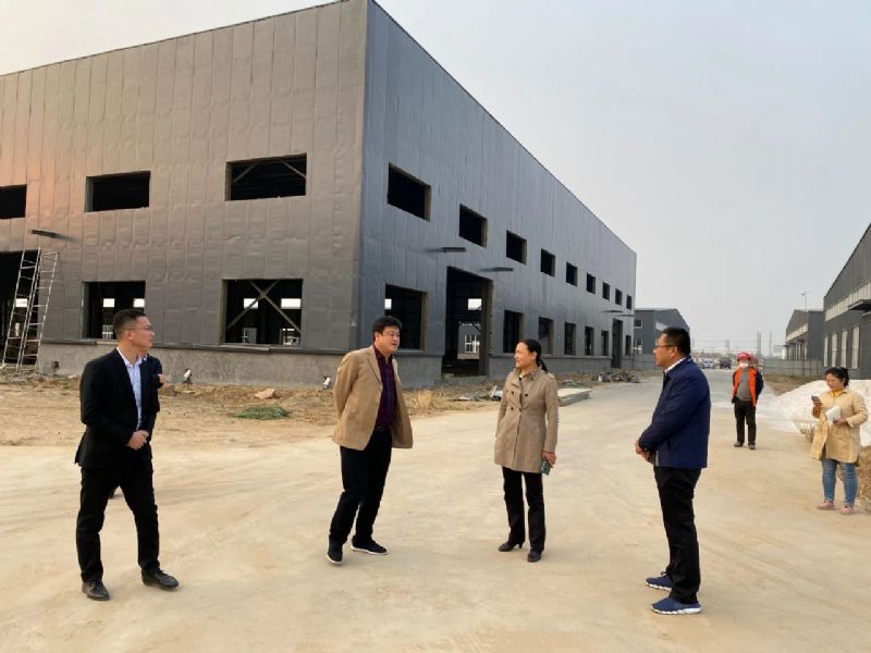 市政府副市長曲偉調(diào)研龍港新材料省重點項目建設(shè)情況