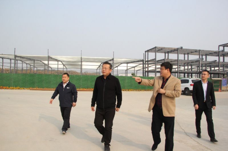 市委常委、市政府副市長劉煜到龍港汽車城調(diào)研