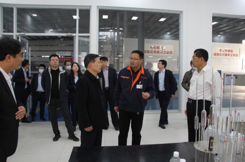 省工信廳領導到龍港硅業(yè)公司開展上市培育和投rongzi調研及對接服務