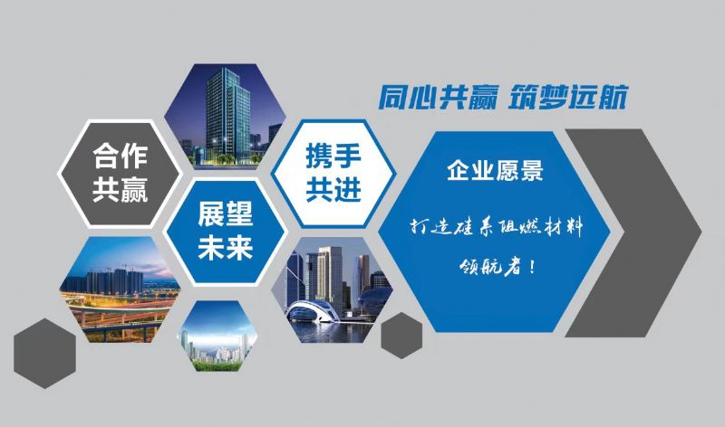 喜報(bào)｜龍港硅業(yè)又獲一項(xiàng)省級(jí)“硬核”獎(jiǎng)！